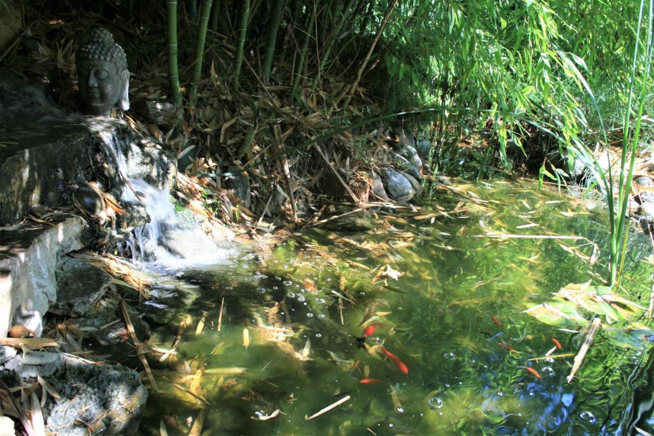 Le Mas De La Cigale Bleue, Caumont Sur Durance ภายนอก รูปภาพ