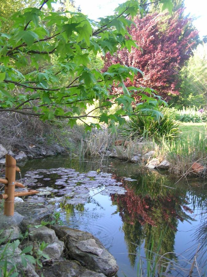 Le Mas De La Cigale Bleue, Caumont Sur Durance ภายนอก รูปภาพ