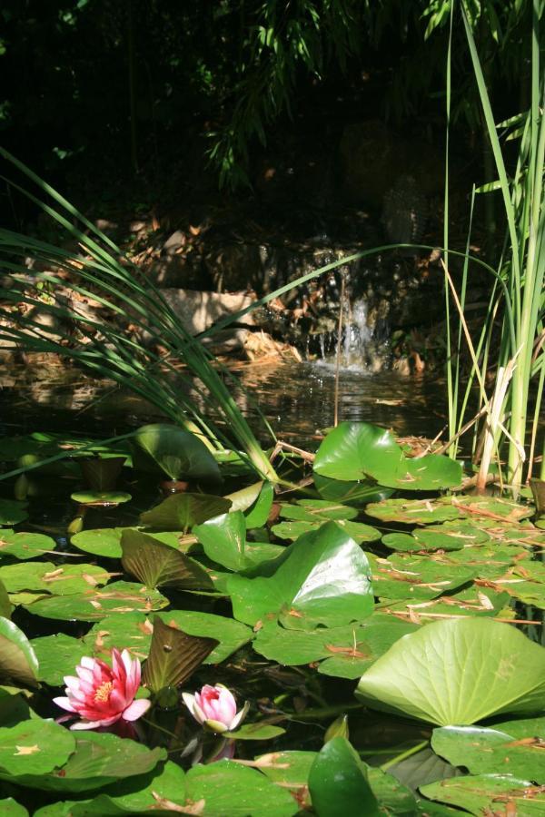 Le Mas De La Cigale Bleue, Caumont Sur Durance ภายนอก รูปภาพ