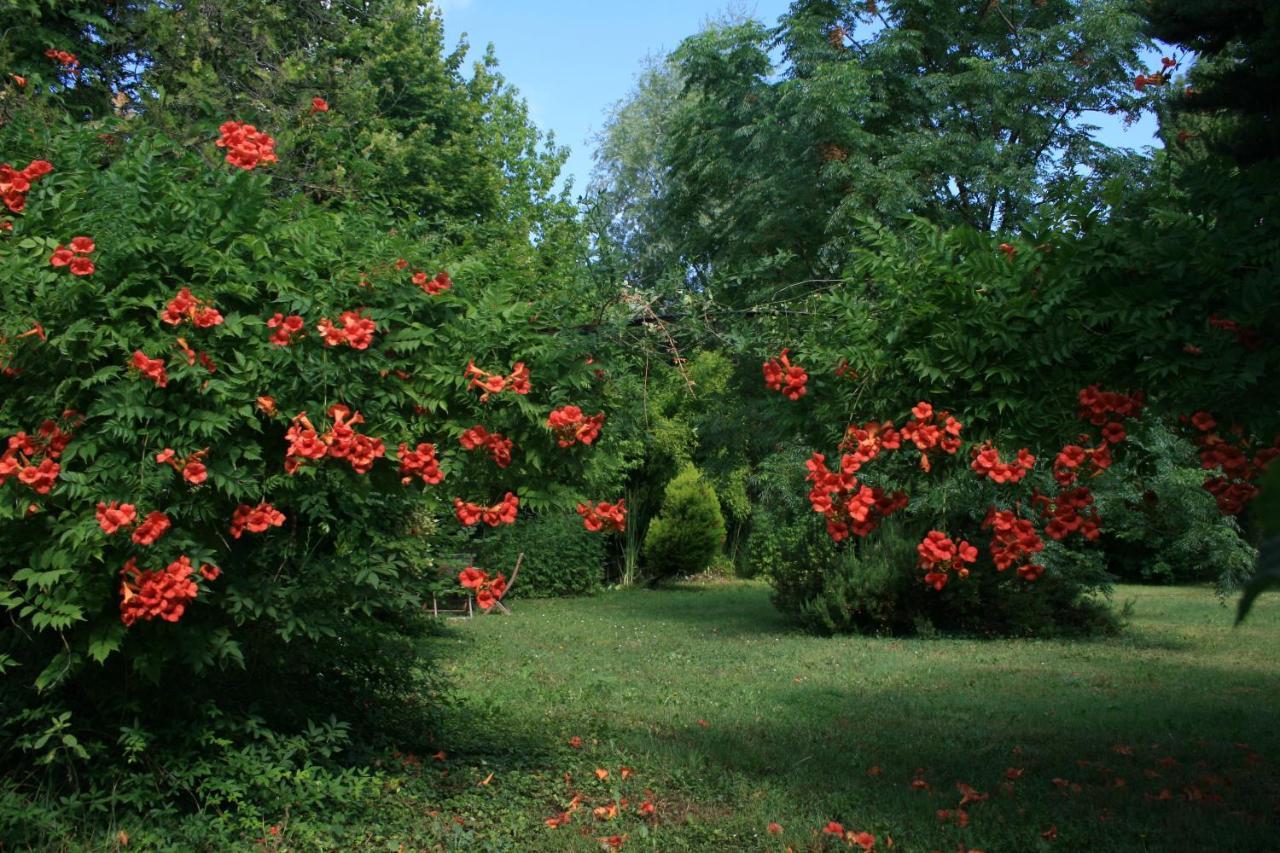 Le Mas De La Cigale Bleue, Caumont Sur Durance ภายนอก รูปภาพ