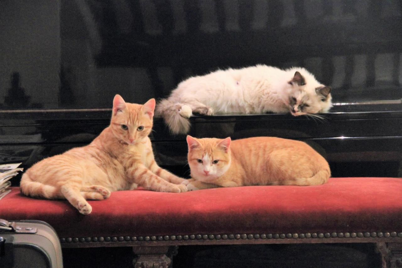 Le Mas De La Cigale Bleue, Caumont Sur Durance ภายนอก รูปภาพ