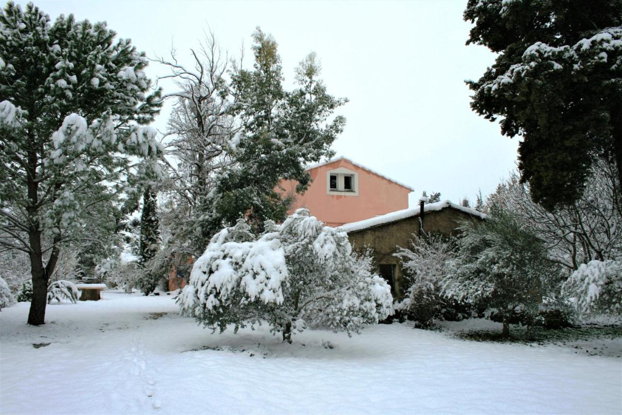 Le Mas De La Cigale Bleue, Caumont Sur Durance ภายนอก รูปภาพ