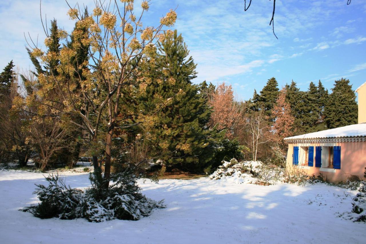 Le Mas De La Cigale Bleue, Caumont Sur Durance ภายนอก รูปภาพ