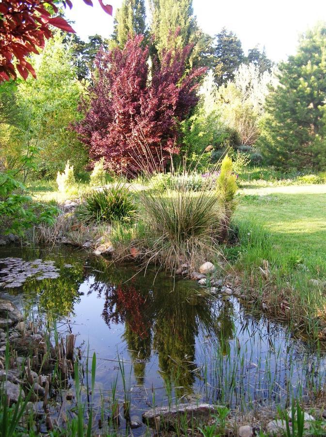 Le Mas De La Cigale Bleue, Caumont Sur Durance ภายนอก รูปภาพ