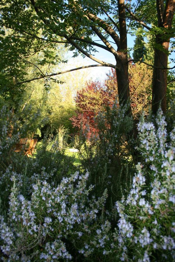 Le Mas De La Cigale Bleue, Caumont Sur Durance ภายนอก รูปภาพ