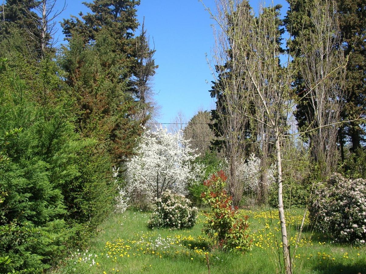 Le Mas De La Cigale Bleue, Caumont Sur Durance ภายนอก รูปภาพ