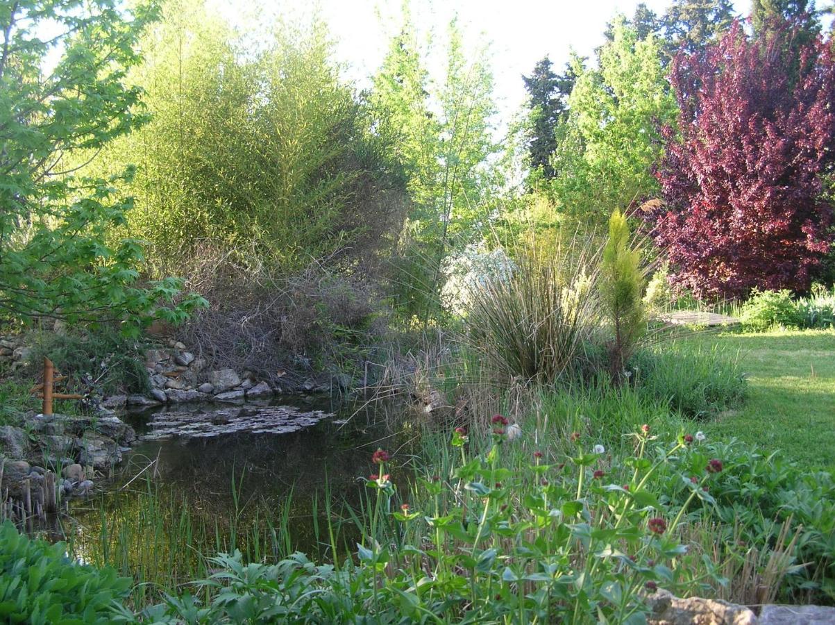 Le Mas De La Cigale Bleue, Caumont Sur Durance ภายนอก รูปภาพ
